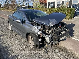 škoda osobní automobily Peugeot 207 1.6-16V 2007/5