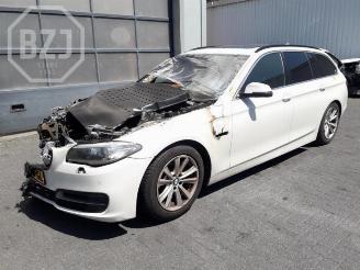Salvage car BMW 5-serie 5 serie Touring (F11), Combi, 2009 / 2017 520d xDrive 16V 2014