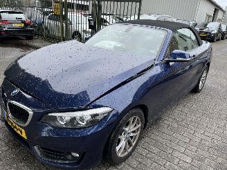 damaged commercial vehicles BMW 2-serie 218i  Automaat Cabriolet 2018/1