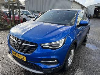 Voiture accidenté Opel Grandland X 1.2 Turbo  Business Executive 2020/1
