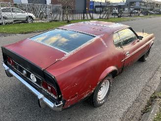 Ford Mustang MACH 1 picture 28
