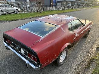 Ford Mustang MACH 1 picture 16