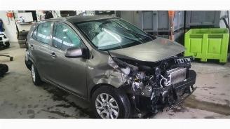 damaged passenger cars Kia Picanto Picanto (JA), Hatchback, 2017 1.0 12V 2019/3