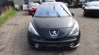 Peugeot 207 1.6  88 KW picture 1