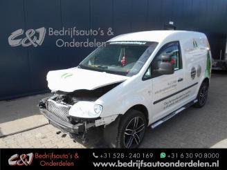 Auto incidentate Volkswagen Caddy Caddy III (2KA,2KH,2CA,2CH), Van, 2004 / 2015 1.9 TDI 2005/9