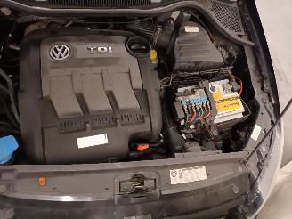 Volkswagen Polo Polo V (6R) Hatchback 1.2 TDI 12V BlueMotion (CFWA(Euro 5)) [55kW]  (1=
0-2009/05-2014) picture 16