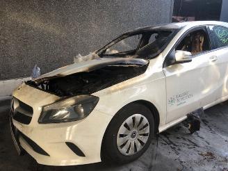 uszkodzony samochody osobowe Mercedes A-klasse mercedes A-klasse 180 CDI 2013/1