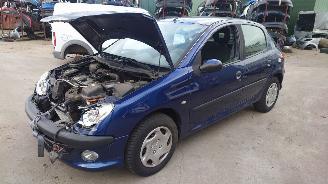 uszkodzony samochody osobowe Peugeot 206 2004 1.4i KFW Blauw EGED onderdelen 2004/1