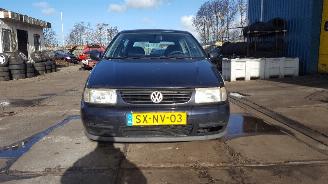 Salvage car Volkswagen Polo Polo (6N1) Hatchback 1.6i 75 (AEE) [55kW]  (10-1994/10-1999) 1998/2
