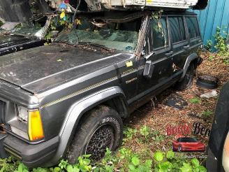 uszkodzony samochody osobowe Jeep Cherokee  1990/6